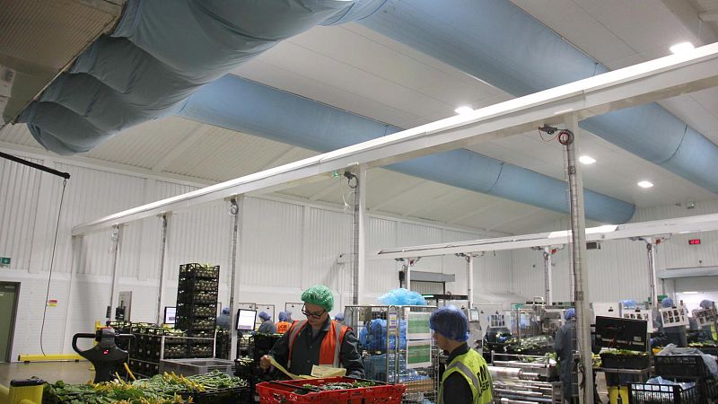 Fresh produce processing hall.